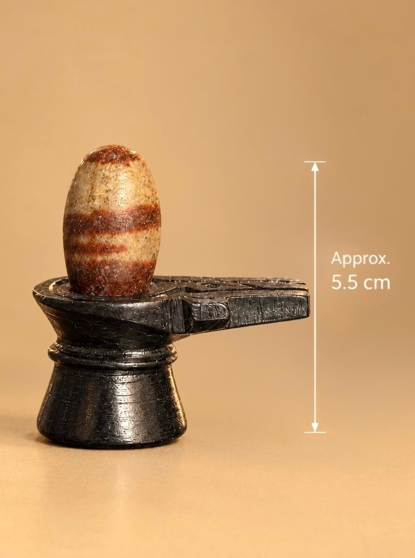 Narmadheshwar Shivalingam